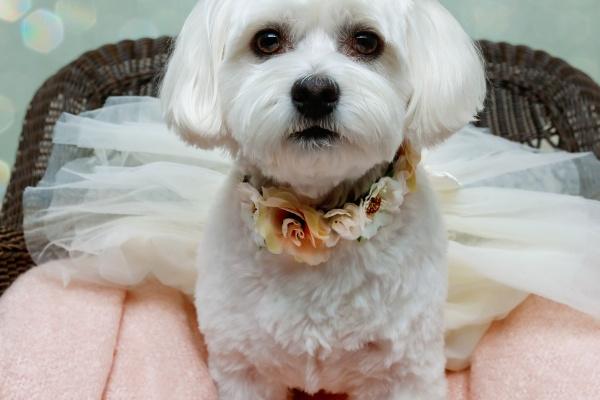 2023年7月27日装修开工好吗 可以装修房子吗