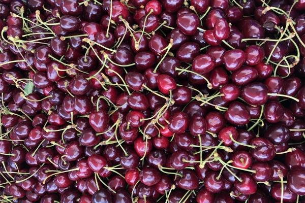 2023年7月19日可以安门吗 是安门黄道吉日吗