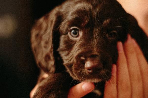 狂月天时 0710每日星座运势