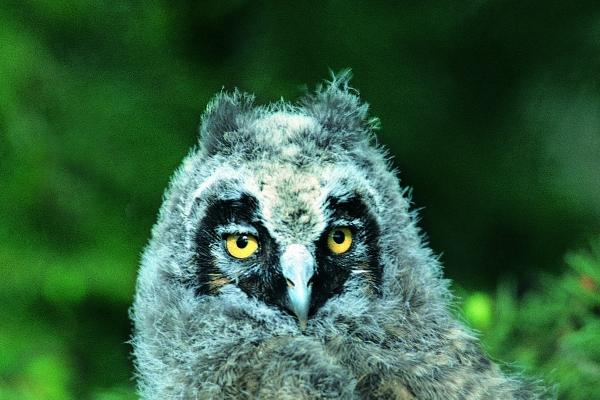 双鱼男对喜欢的人不污?其实双鱼男对爱的人是这样的!