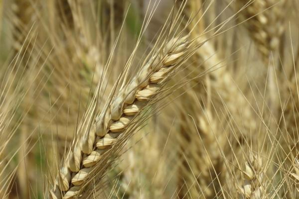 2023年7月17日可以搬家吗 今日宜搬家吗