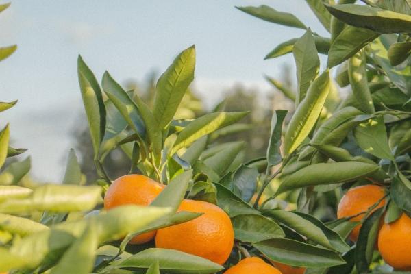 男命偏财多就一定出轨吗 会有情人吗