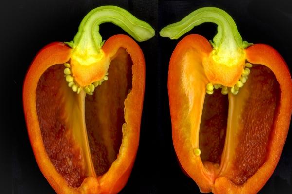 狂月天时 0709每日星座运势