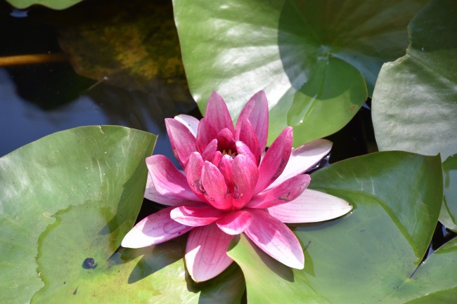 2023年7月16日搬家好不好 适合入住新房吗