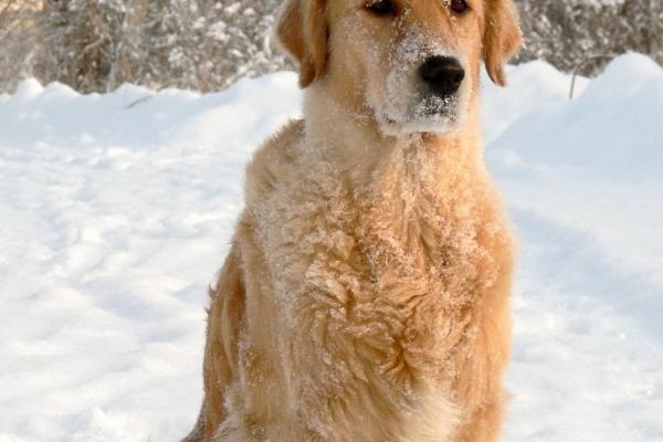 12星座最佳闺蜜配对 你和你的闺蜜适配吗?