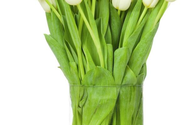 2023年7月23日财神方位 今天财神位置方向