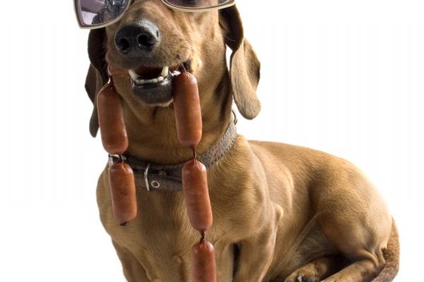 "婚姻幸福时刻!最有可能靠结婚转运的四大生肖女展现独特魅力!"