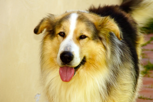 艾菲尔 十二星座一周运势7.10—7.16