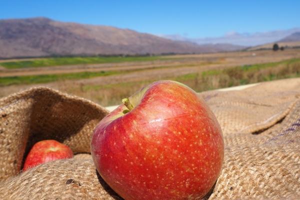 2023年7月23日提车怎么样 大暑提车老黄历查询