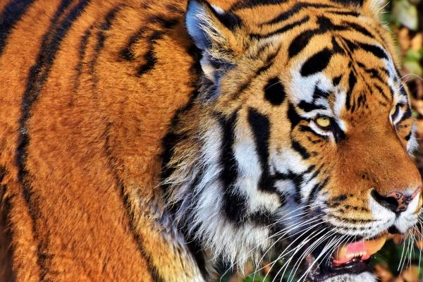 2023年7月26日提车怎么样 是提新车的吉日吗