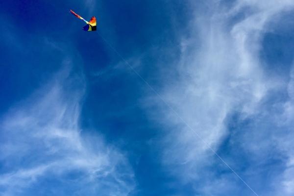 属狗1994山头火命婚姻 94年属狗人火命命运