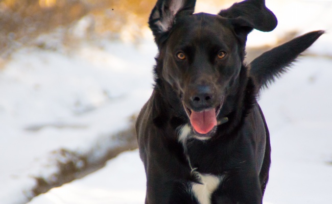 狂月天时 0712每日星座运势