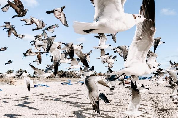 1985属牛人39岁到49岁运程，85年牛未来十年发展如何