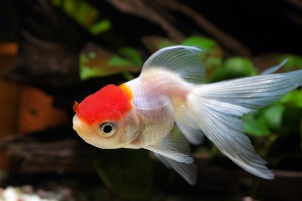 2023年7月25日可以搬家吗 是不是搬家最佳日期