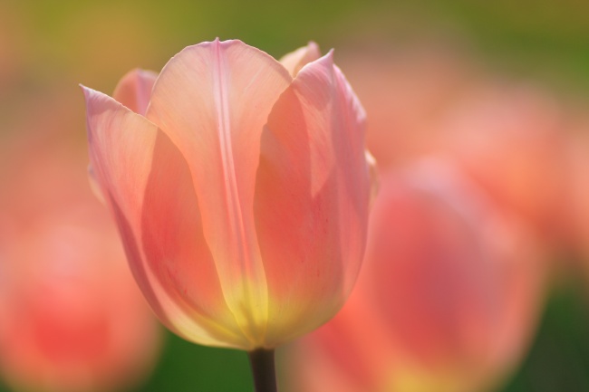 2023年7月31日适合提车吗 适合买新车的日子吗