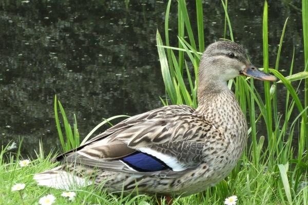 2023年8月18日领结婚证好不好 能不能领结婚证