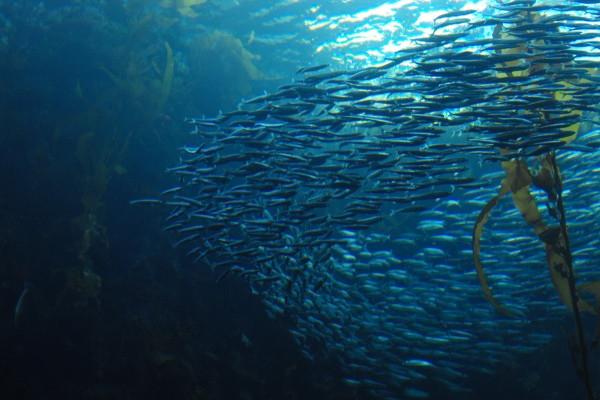 苏珊米勒 今日星座运势查询7.14