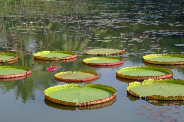 天庭窄小面相好不好 一生命运详细分析