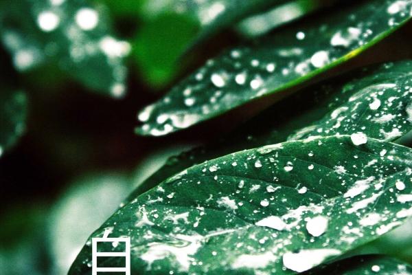 射手座与天秤座的星座宿命 既是绝配又是死克?