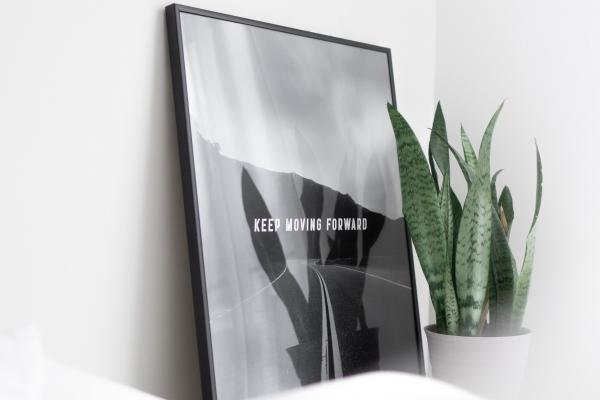 善良与冷酷并存!四大生肖展现善良狠心的双重魅力!