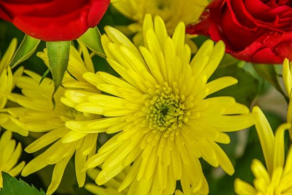 2023年8月4日是搬家吉日吗 今天是不是好日子