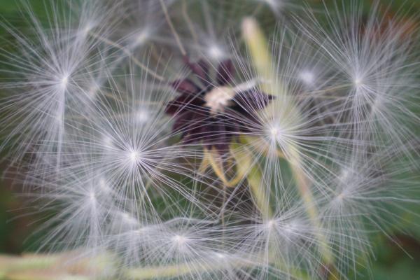 2023年8月7日适合领证吗 是大吉大利的日子么