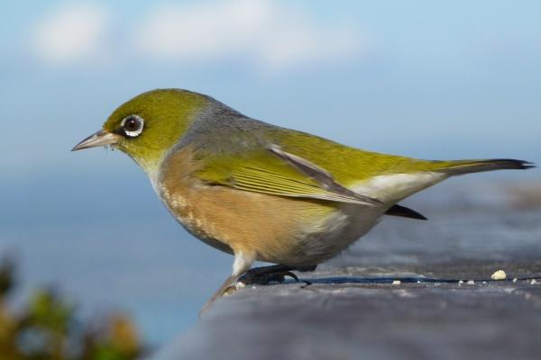 遇事总有人帮的星座女 人美心善