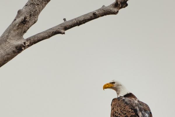 2023年8月5日适合搬新房吗 乔迁好不好