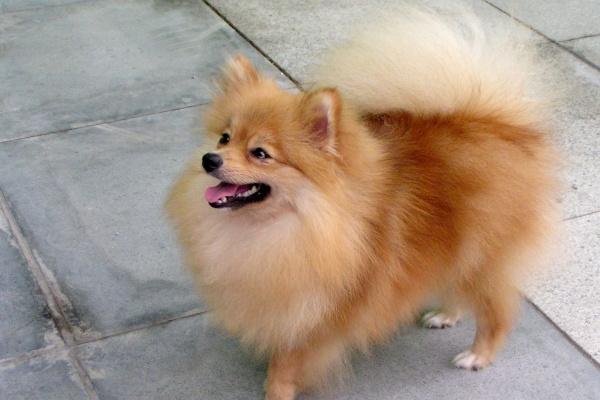 2023年7月28日开业好不好 是开业吉日吗