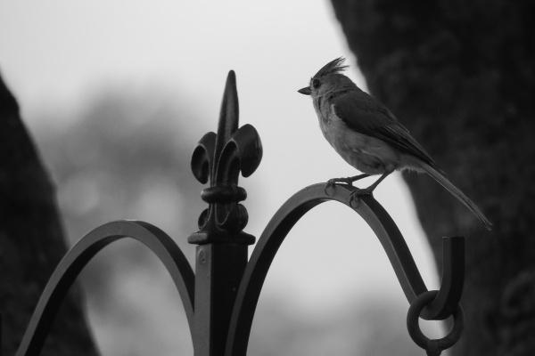 2023年7月30日搬家好吗 日子吉利吗