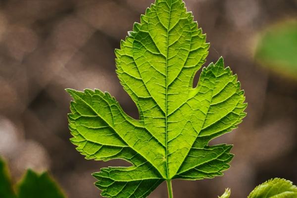 2023年8月21日适合领证吗 登记结婚合不合适