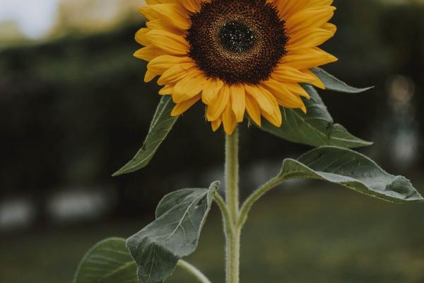 天蝎男被摩羯女虐崩溃!有点想放弃!