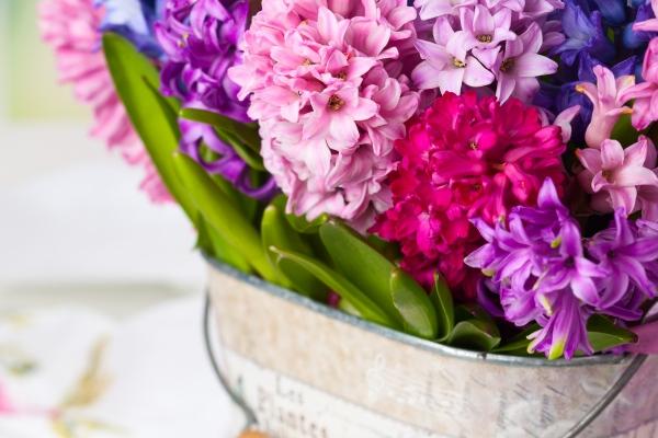 2023年8月17日领结婚证好不好 领证是吉日吗