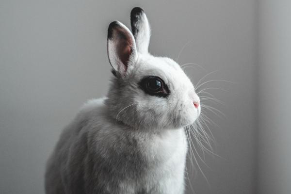 苏珊米勒 星座运势查询7.15-7.16