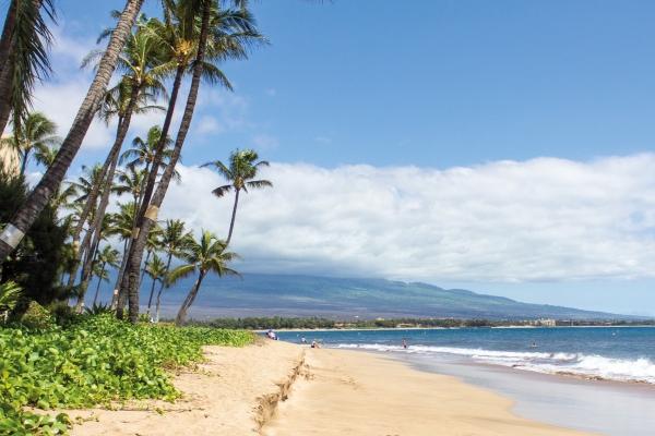 十二星座2023年12月份财富运势排行榜前三