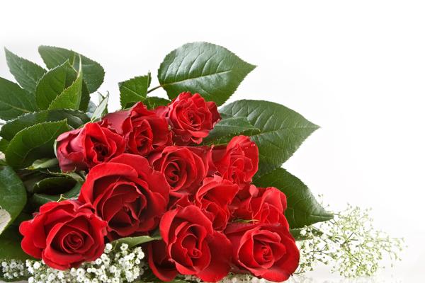 唐立淇 12星座周末运势7.15-7.16