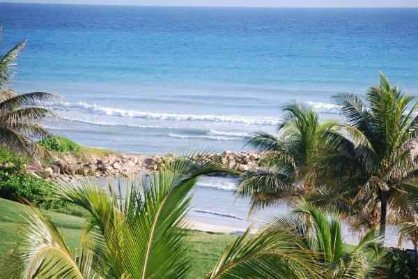 狮子男独宠的摩羯座女,爱的深入骨髓!