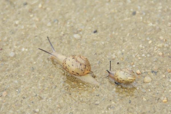 2023年8月22日领结婚证好不好 七夕领证的好日子吗