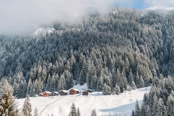 2023年8月6日能搬家吗 今天是不是好日子