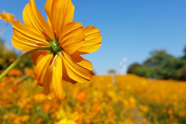 2021年庚子年五行属什么 属鼠人适合做什么