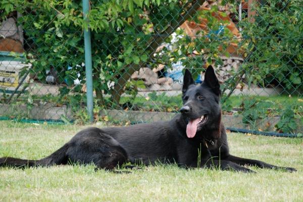 白羊座命中注定的恋人 真爱是哪一位