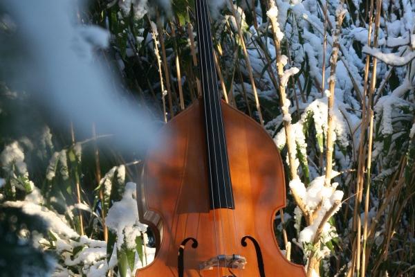 十二星座的忌讳颜色 十二星座的禁忌色