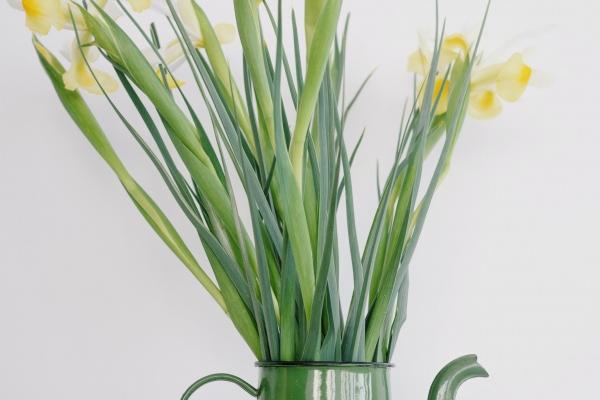 2024年1月桃花运最旺生肖第一名 属相猴个人魅力高