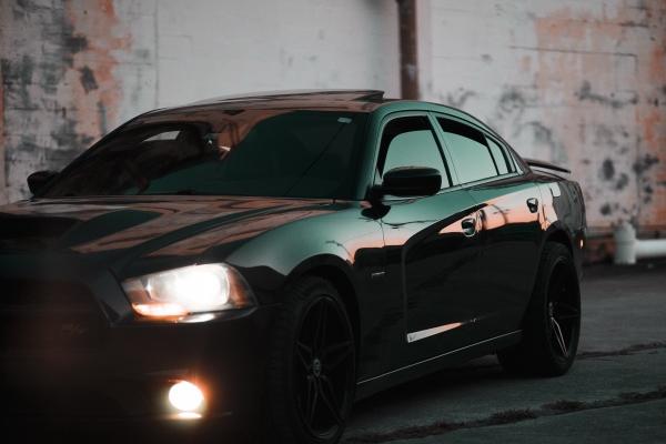 八字财运 免费算财运和事业怎么样