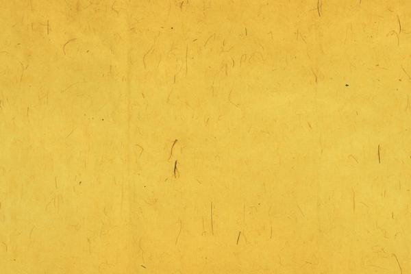 狂月天时 0718每日星座运势