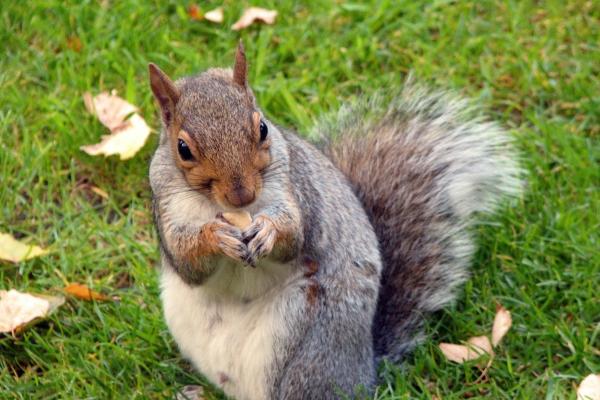 2023年8月9日签约好吗 签约吉利吗