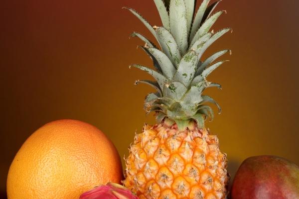 属龙取名用辰字好吗，属龙起什么名字好