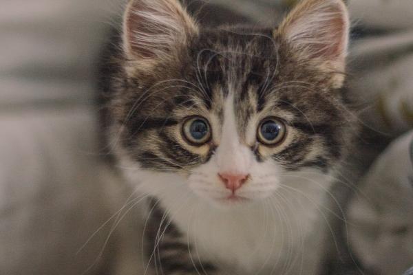 2023年8月19日适合签约吗 适合签约吗