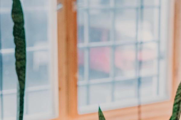 2023年8月19日能搬家吗 可以搬新家吗