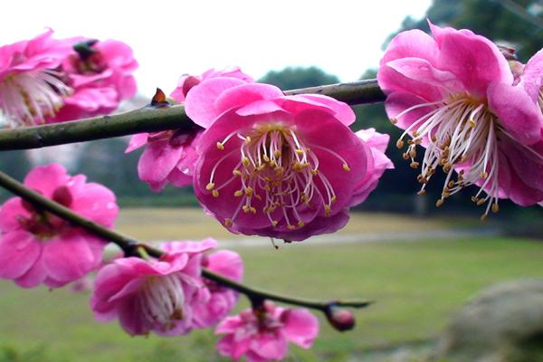 2023年8月21日是搬家吉日吗 可不可以搬迁